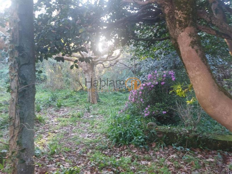 Foto fe6e7ad9-9a6e-40af-a898-58896dcc81a4. Chalet en Cornazo Vilagarcía de Arousa