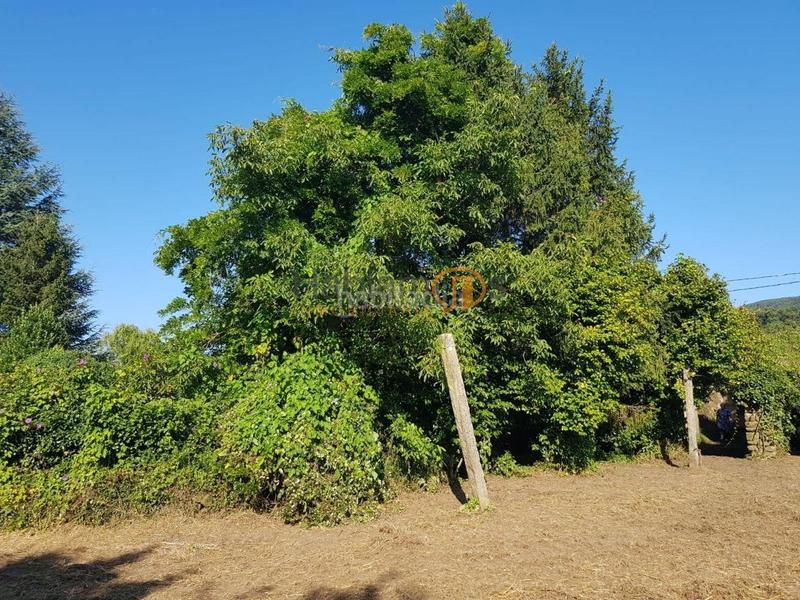 Foto 47fa392a-4867-4dd6-ba42-e4d41fa7f349. Masía en Bamio Vilagarcía de Arousa