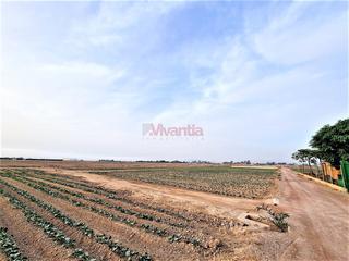 Residential Plot in Campillo. Parcela - campillo- 5125 m2