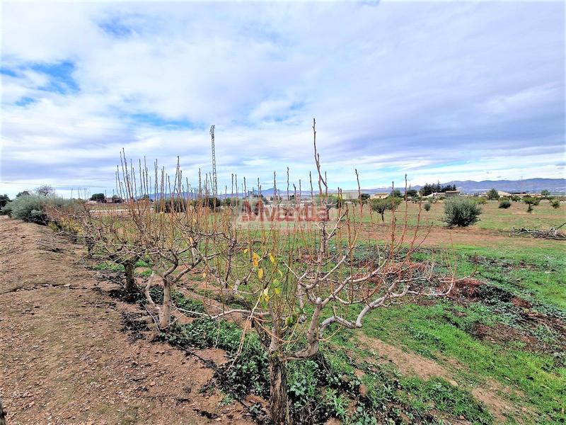 Foto f7527730-21bc-4d5c-9960-50189edb8a22. Chalet  - Purias - carretera de pulpi en Purias Lorca