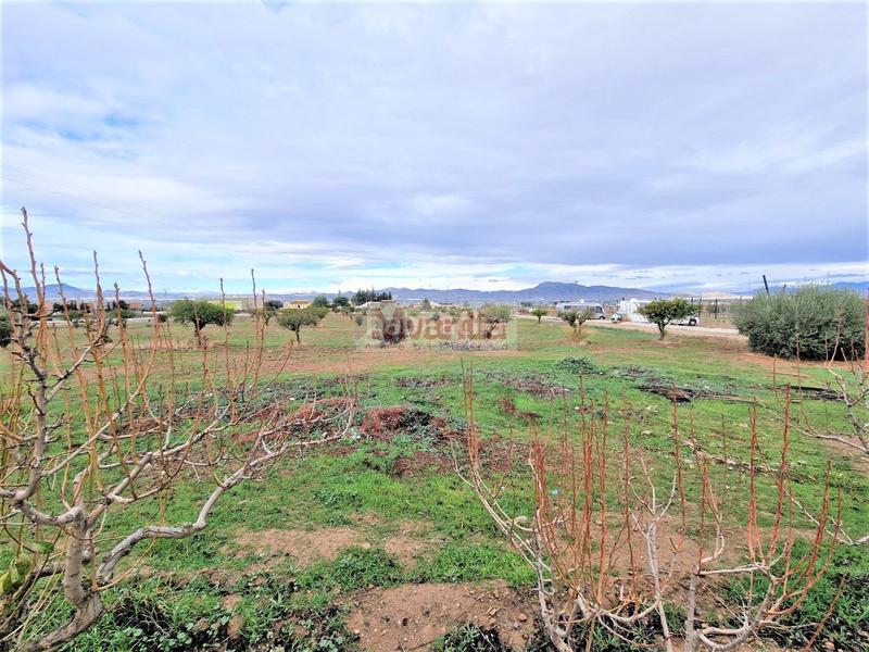 Foto f754de37-f9c0-4a8a-983c-ba7046358aa7. Chalet  - Purias - carretera de pulpi en Purias Lorca