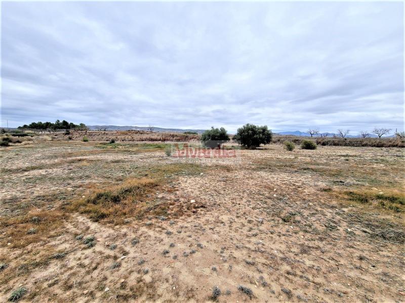 Foto 0b5008df-adf8-41f9-8cce-a843bea1ca0a. Casa amb aparcament a El Río Lorca