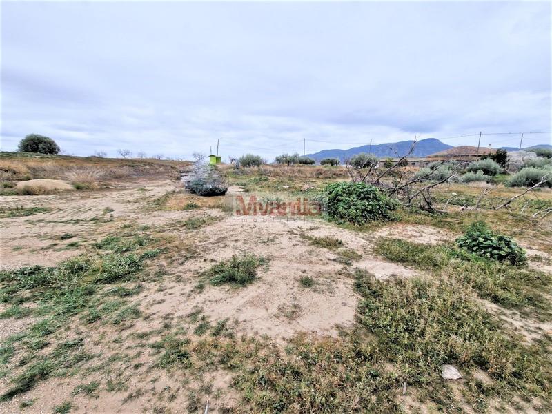 Foto 6a149cae-7177-4b16-a44b-778f205f30e2. Casa amb aparcament a El Río Lorca