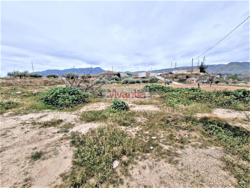 Foto 6ccdc667-d871-4355-bc62-6483211bc13d. Casa amb aparcament a El Río Lorca