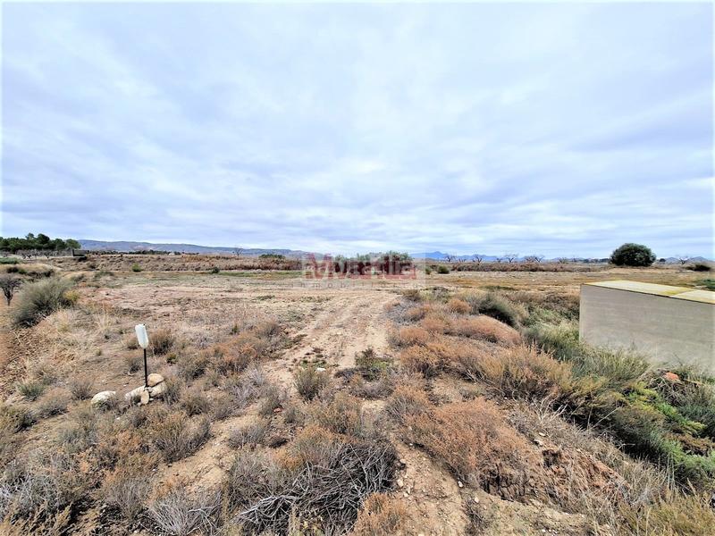 Foto ce41414a-d4ca-49ae-b0a2-9259ad903426. Casa amb aparcament a El Río Lorca