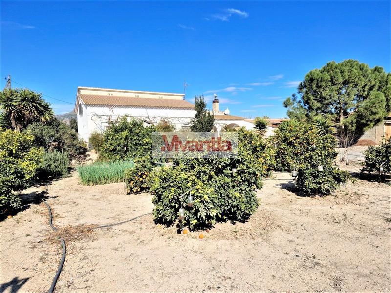 Foto 8d2a6f99-6338-4eaa-bb71-983b0e2eb1d5. Casa  - Campillo en Campillo Lorca