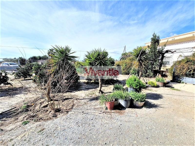 Foto 952b4208-4ba2-4f73-a6c7-8b3007efea82. Casa  - Campillo en Campillo Lorca