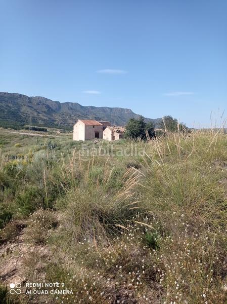Foto 0e4d4c68-9362-4b0c-be0f-a72231604d19. Finca rústica finca - La Hoya en La Hoya Lorca