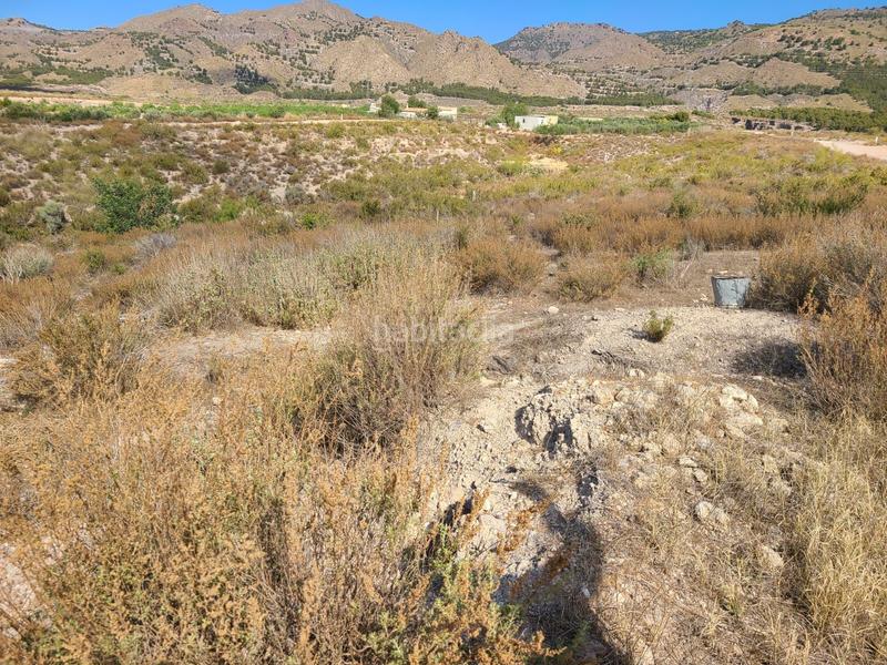 Foto 8b6979b9-4117-443b-84ef-52606a5c2d7a. Finca rústica finca - La Hoya en La Hoya Lorca