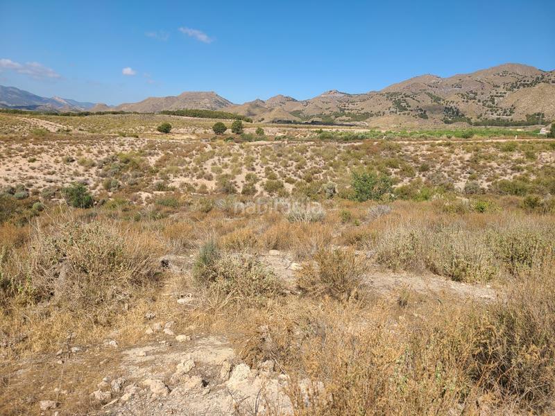 Foto a24a63d7-7df5-4a84-a00c-5955fd0268d4. Finca rústica finca - La Hoya en La Hoya Lorca
