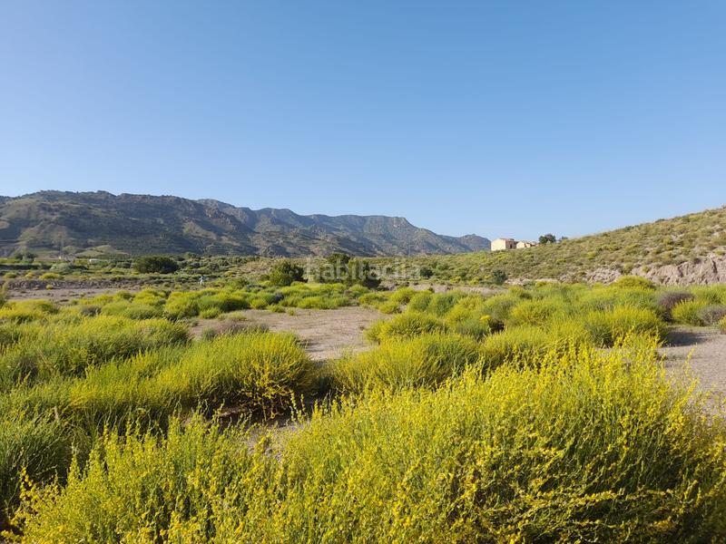 Foto d71f70dd-d7f8-4a67-9bf8-76f4c73ac322. Finca rústica finca - La Hoya en La Hoya Lorca