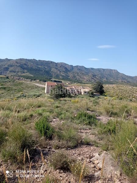 Foto f18874dc-a3a3-46c9-87b7-a74fd232d186. Finca rústica finca - La Hoya en La Hoya Lorca