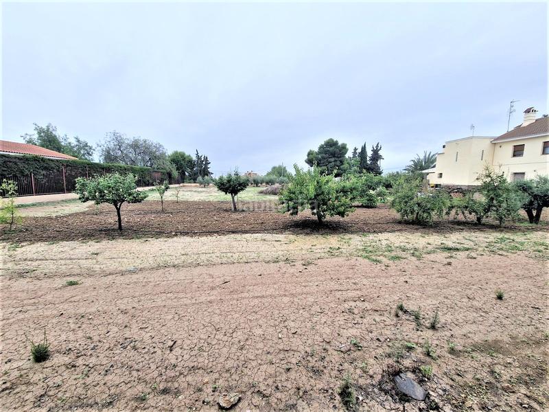 Foto 38801dc0-ee40-4ebd-95e0-344bad2c7bce. Xalet amb aparcament piscina a Marchena Lorca