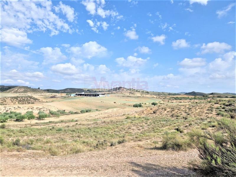 Foto 0670a64e-a462-468f-b0ca-53ef1aa12d81. Maison dans La Tova Lorca