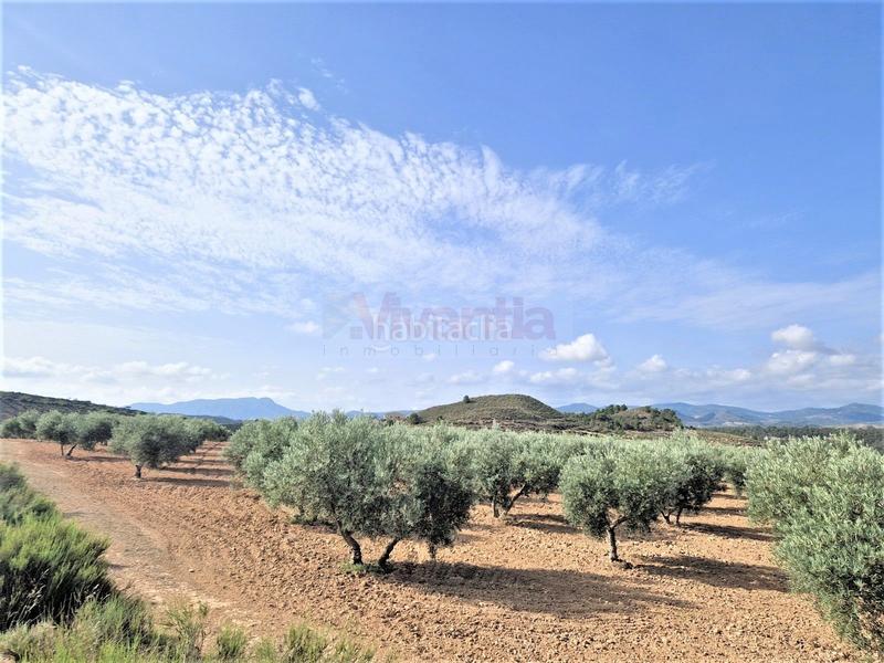 Foto 81e866c7-bcb0-46f2-98c2-36a3c72cf458. Maison dans La Tova Lorca