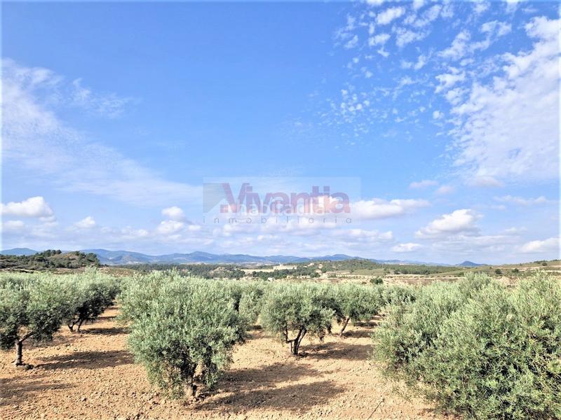 Foto 873a84d3-3fef-43de-ac2b-802f1a1c7661. Maison dans La Tova Lorca