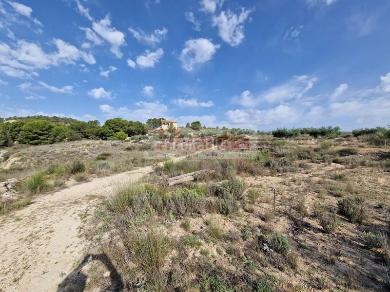 Foto 8b5de44b-2469-4b31-b409-6ba31bc3e604. Maison dans La Tova Lorca