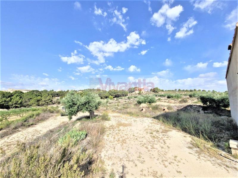 Foto 8e338aac-84f0-4bc9-845d-f215b4c70a0c. Maison dans La Tova Lorca