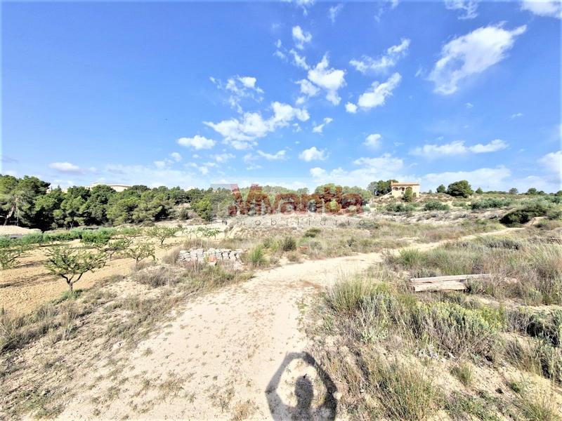 Foto ad3520ca-1709-45fe-b082-5742670e82e9. Maison dans La Tova Lorca