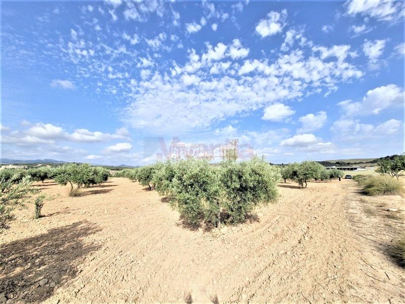 Foto ec612d76-f6e0-486d-93ea-a6c8197134e0. Maison dans La Tova Lorca