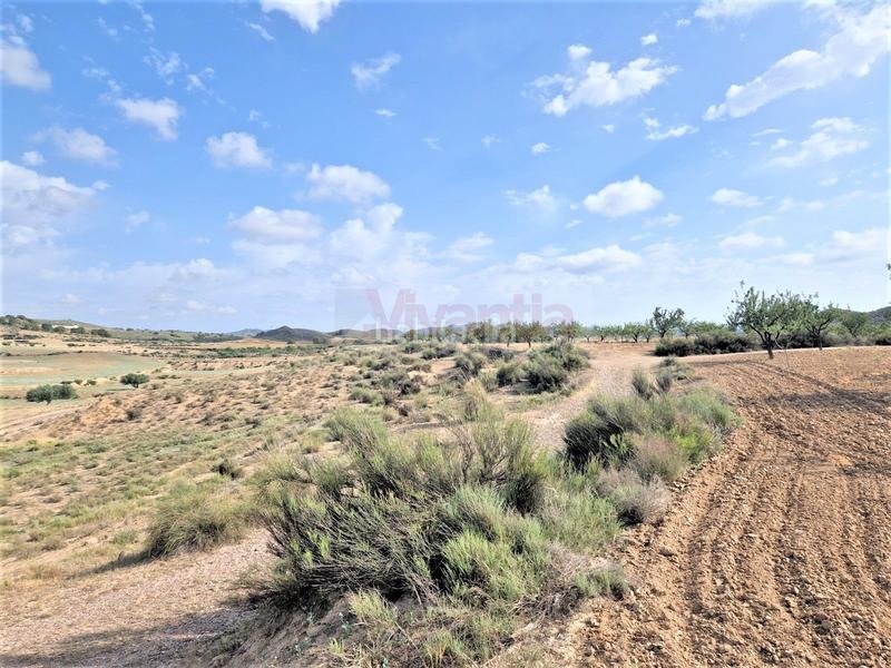 Foto efe55224-dd80-4f29-bfdc-68d89d6dc74e. Maison dans La Tova Lorca