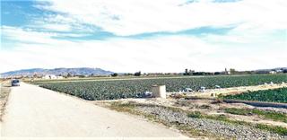 Residential Plot in Campillo. Parcela en diputacion de campillo