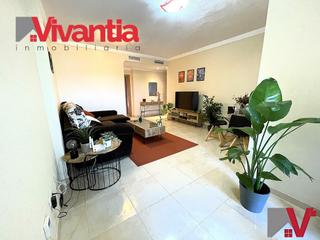 Pis a Santa Quiteria - Virgen de las Huertas. Vivienda