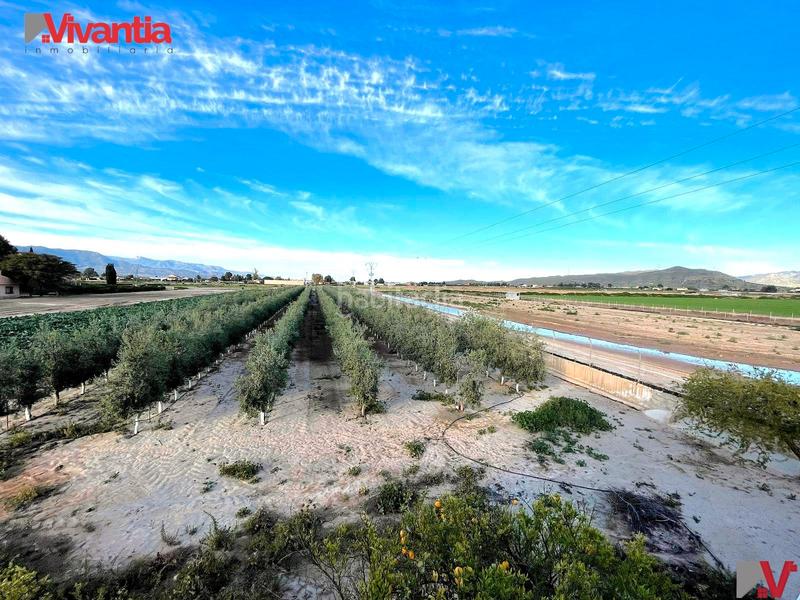 Foto 2aca7149-4ae7-41a7-976a-38a685b06256. Chalet casa independiente en Aguaderas Lorca