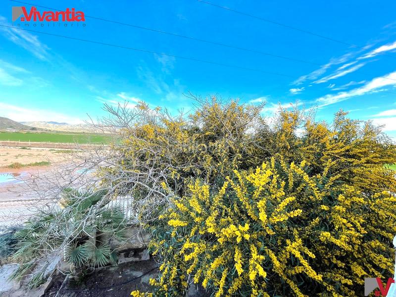 Foto 461416d2-b1ce-4f71-8a25-7612999a5388. Chalet casa independiente en Aguaderas Lorca