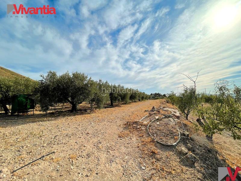 Foto 023516f7-f516-4240-9aaf-ab0153fc1d59. Casale con camino parcheggio in Purias Lorca