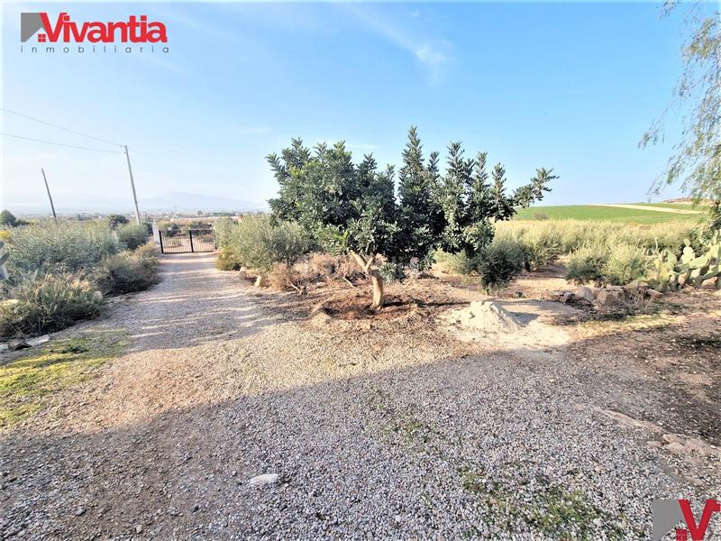 Foto a233f977-0c6d-4e38-976d-b9537d4474cd. Casale con camino parcheggio in Purias Lorca