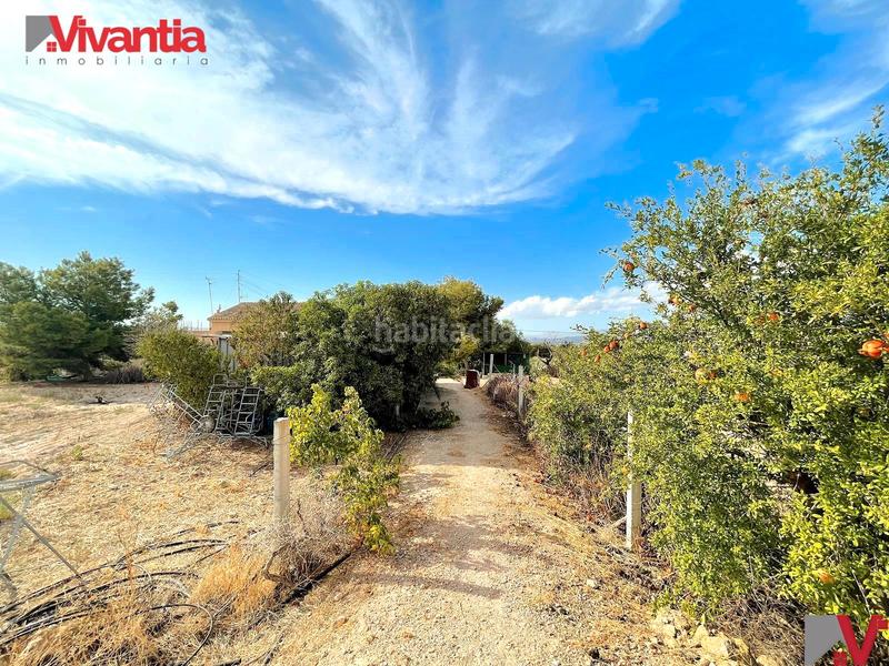 Foto a2b0c18b-dcc8-4364-a50d-2d9756bd6298. Casale con camino parcheggio in Purias Lorca