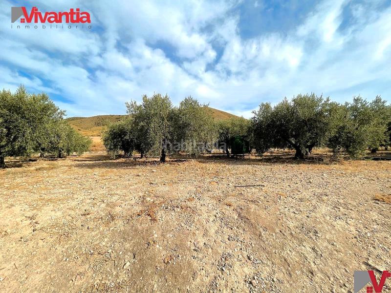 Foto c6da0bba-93d5-4766-ac07-c5be549a148c. Casale con camino parcheggio in Purias Lorca