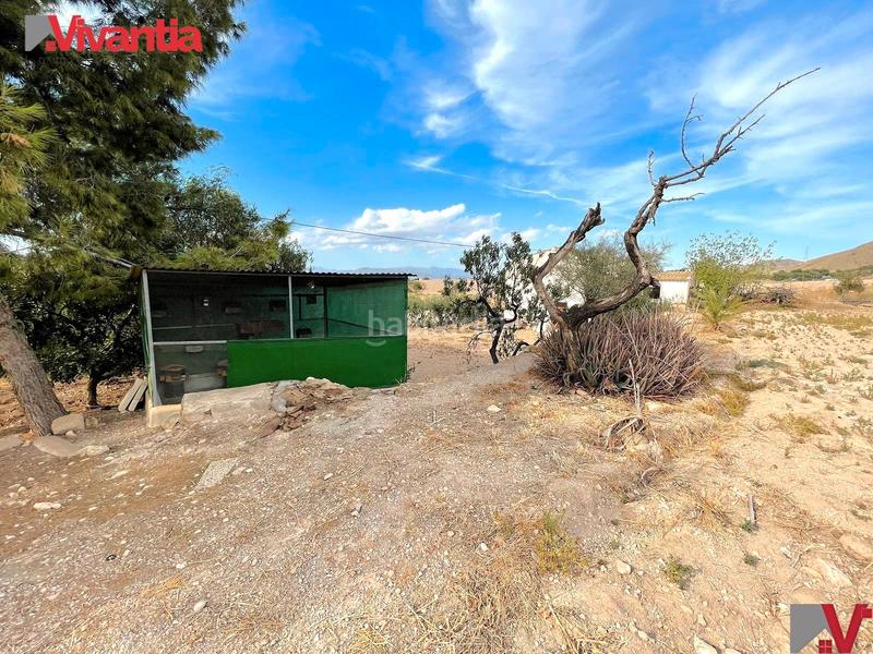 Foto e81acfd3-1fb1-4624-b455-fce46e75818a. Casale con camino parcheggio in Purias Lorca