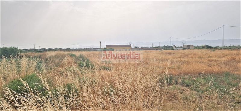 Foto 07d772f9-a4fb-4717-a884-e93b8bf2c41a. Terreny residencial a Torrecilla Lorca