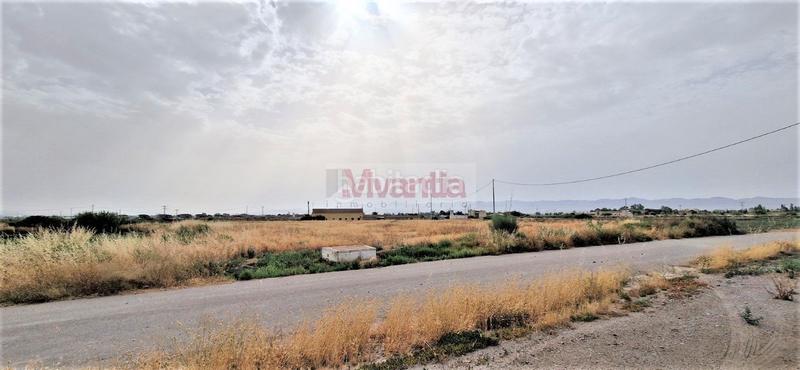 Foto 0dd1b746-b46c-442b-b6f3-f9bb0d215de6. Terreny residencial a Torrecilla Lorca