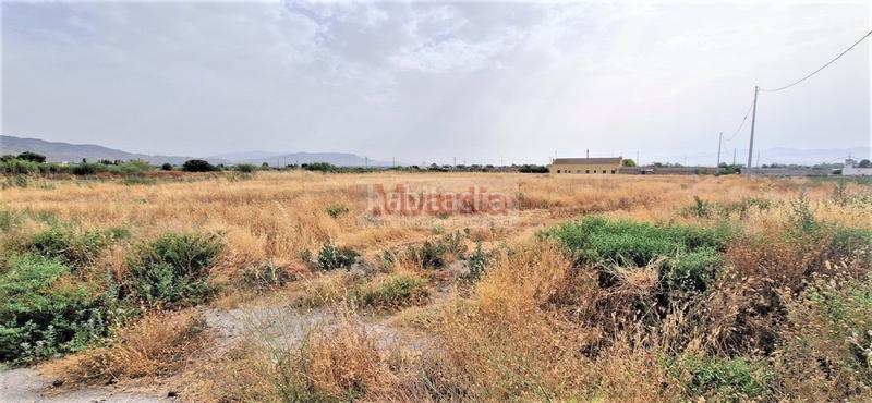 Foto 89f96409-8bf2-460f-b931-567b0424ff2a. Terreny residencial a Torrecilla Lorca
