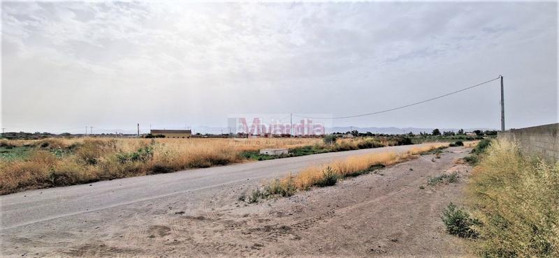 Foto fc02c61e-327d-4720-bf19-c1f8a02daff9. Terreny residencial a Torrecilla Lorca