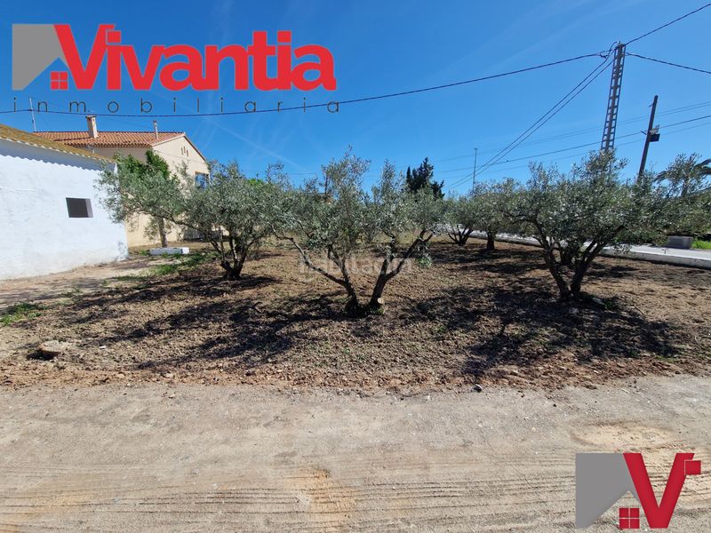 Foto a3ac8ecd-5a34-49a1-96ae-f4054557ccdd. House with fireplace parking in Campillo Lorca