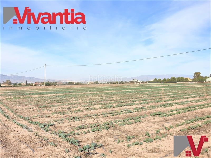 Foto 638e7882-656b-41c0-aadc-83dbcf0513c0. Terreno residencial en Purias Lorca