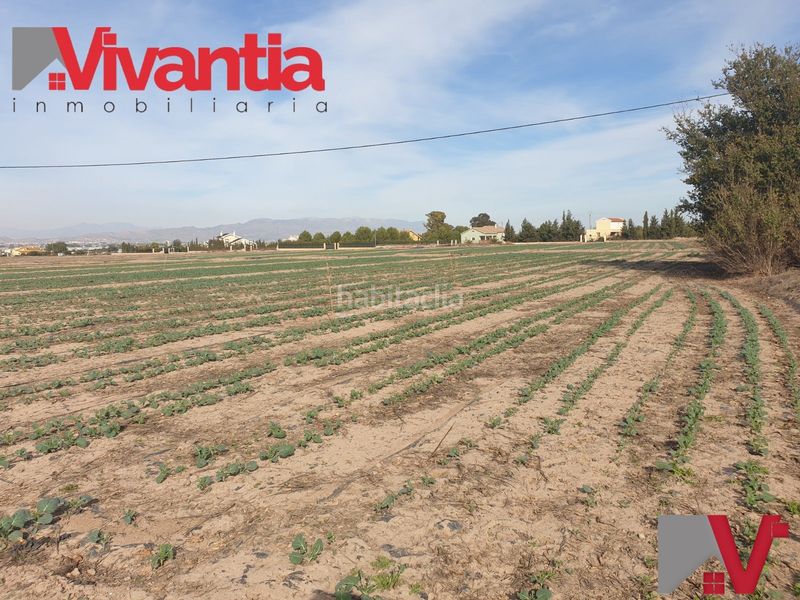 Foto 6471ad37-44e4-447d-81e4-6ba8c25d4258. Terreno residencial en Purias Lorca