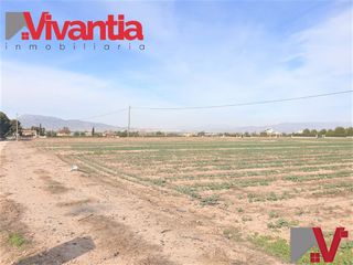 Residential Plot in Purias