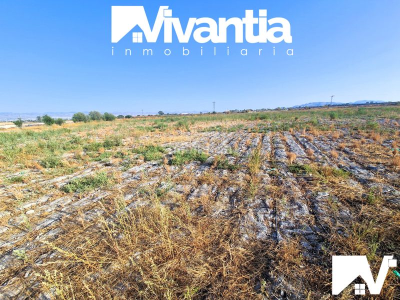 Foto bebdcc69-b895-44b1-9be0-cd8b695f34f7. Finca rústica a diseminado Torrecilla 477 a Torrecilla Lorca