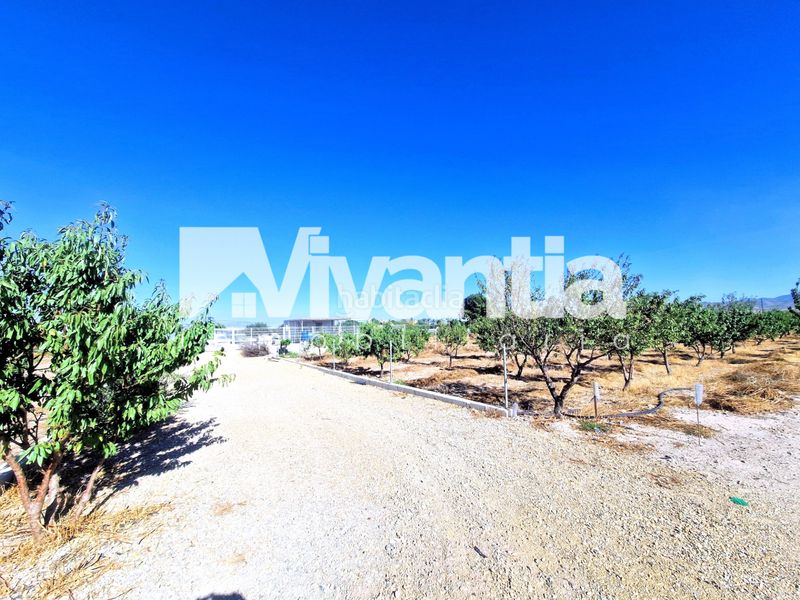 Foto bdf394c6-eecb-48e9-b0fd-240081d8b607. Rural plot in La Hoya Lorca