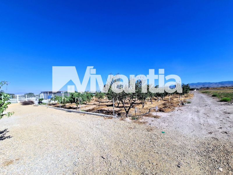 Foto c0398108-b397-4582-8b97-22a60aa3eed2. Rural plot in La Hoya Lorca