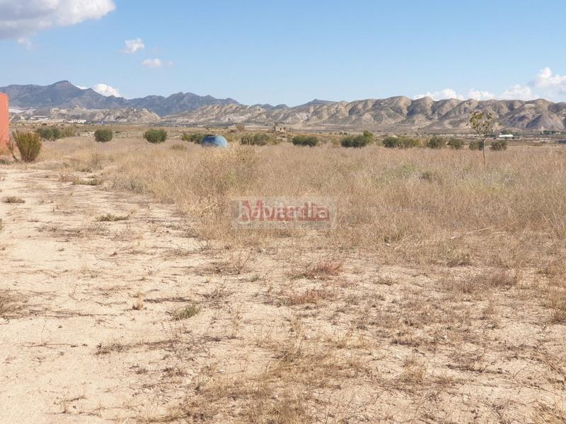 Foto 66469203-0c59-4698-b33a-9c0845612d39. Terreny residencial a El Río Lorca