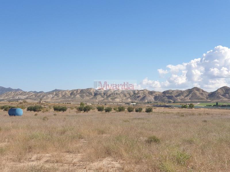 Foto a0503f3d-054d-45de-b255-3be28ab845f0. Terreny residencial a El Río Lorca