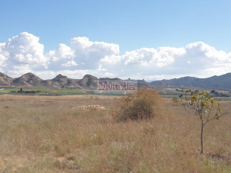 Foto b7a5c81a-000c-4923-9a42-7af07082f2bf. Terreny residencial a El Río Lorca