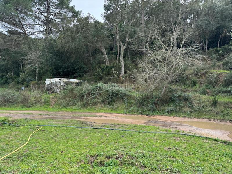 Foto 4a16ea69-e9dc-4c77-87fd-fce463375b7f. Propriété dans carrer afores 92 dans Mas Trempat-Sant Amanç-Casa Nova Sant Feliu de Guíxols