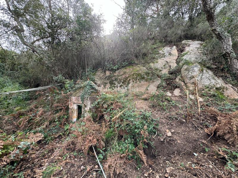 Foto 9970de24-15a2-4f8f-b2d1-7e9ab129fa61. Propriété dans carrer afores 92 dans Mas Trempat-Sant Amanç-Casa Nova Sant Feliu de Guíxols